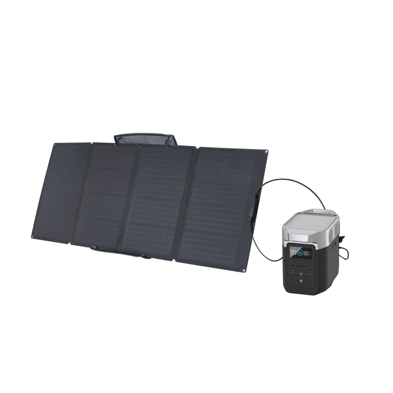 Carregue imagem no visualizador da galeriaEcoFlow DELTA 2 + 160W Portable Solar Panel DELTA 2 / 1