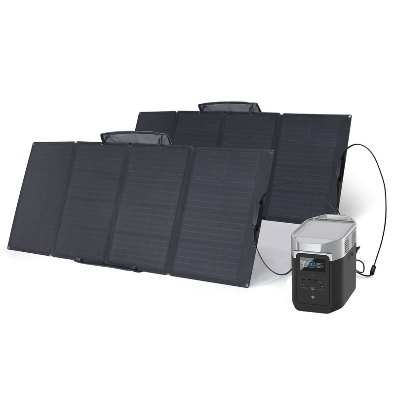 Carregue imagem no visualizador da galeriaEcoFlow DELTA 2 + 160W Portable Solar Panel DELTA 2 / 2