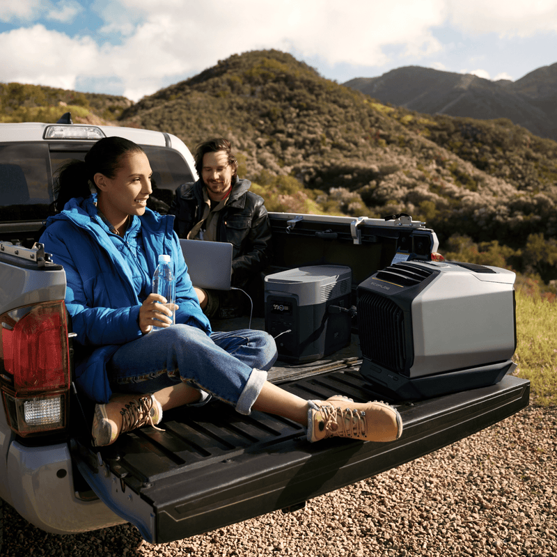 Carregue imagem no visualizador da galeriaEcoFlow WAVE 2 Portable Air Conditioner
