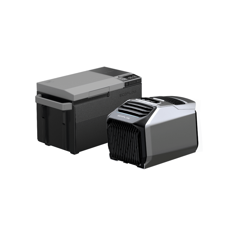 Carregue imagem no visualizador da galeriaEcoFlow WAVE 2 Portable Air Conditioner WAVE 2 + GLACIER
